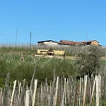 Campismo de Luxo Glamping Altare In The Vineyards Dogliani