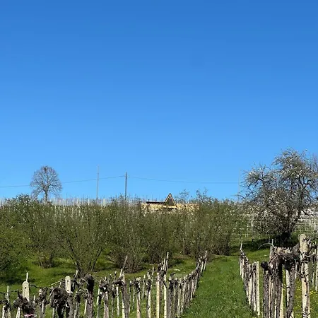 Glamping Altare In The Vineyards Dogliani